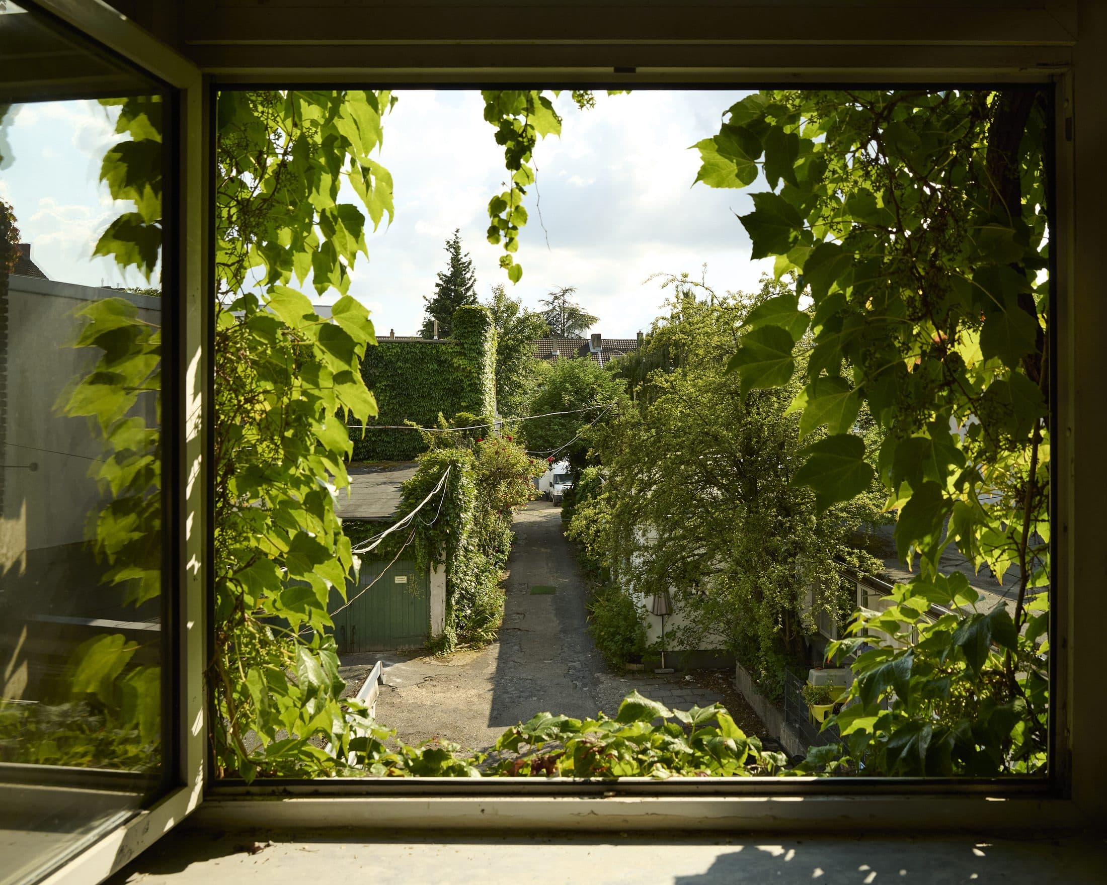 Blick durch ein efeuumranktes Fenster in den grünen Hof der Rosenhöfe