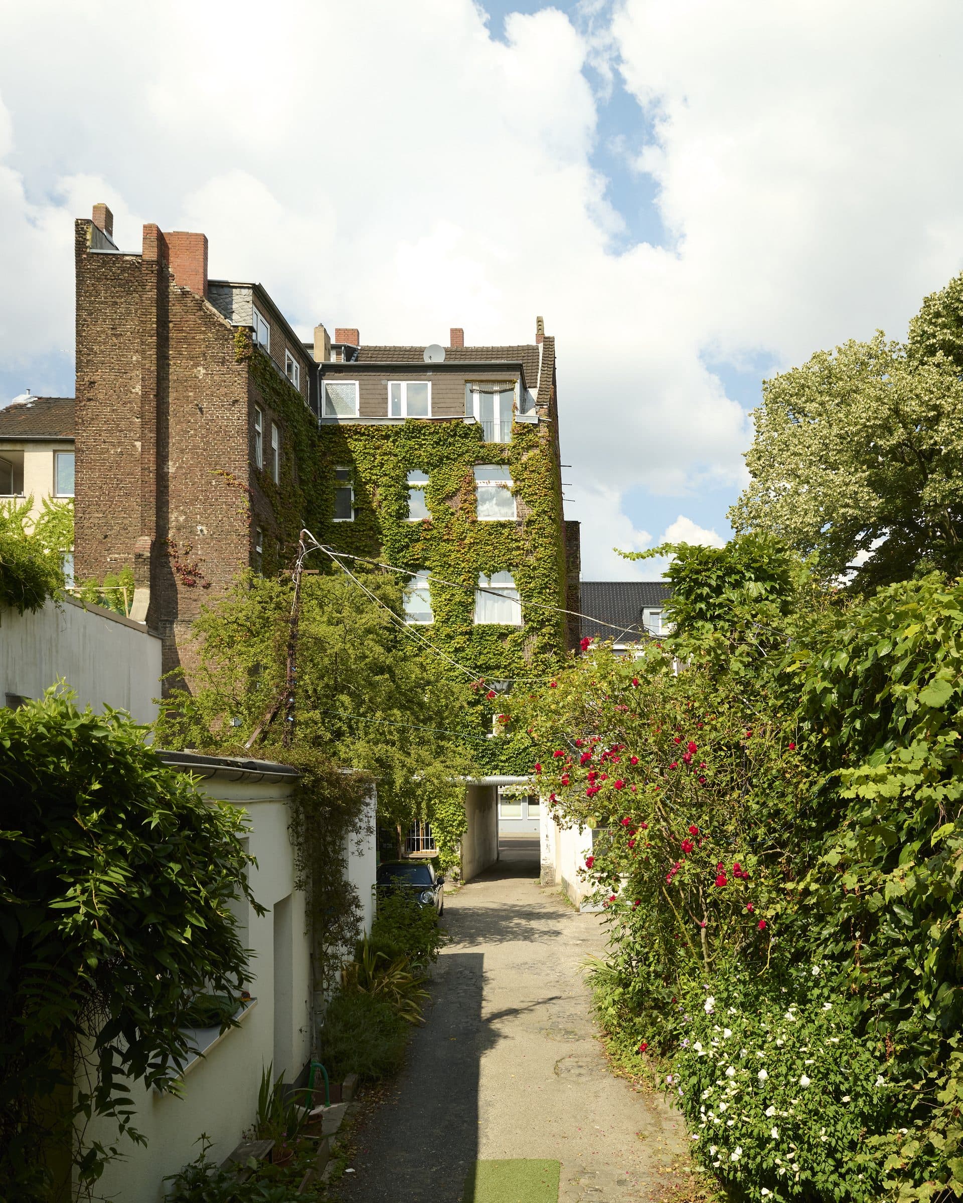 Rosengesäumter Weg in den efeubewachsenen Hinterhof der Rosenhöfe