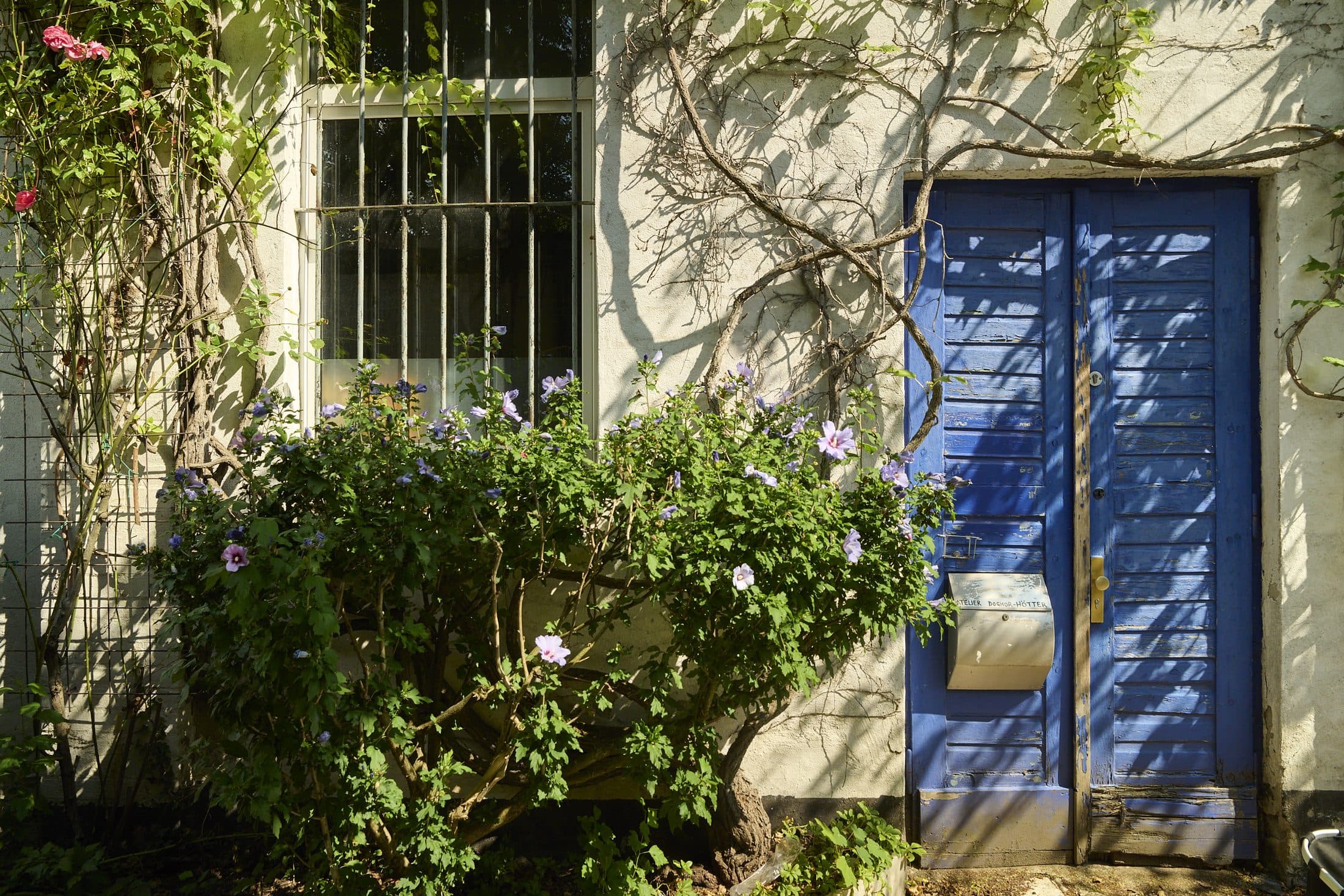 Mediterran-blaue Tür mit blühenden Pflanzen im Hof der Rosenhöfe